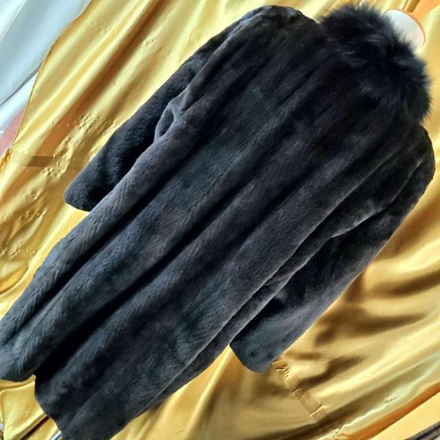 FUKUI FURVFA[h~NtHbNXR[g  t@bV 