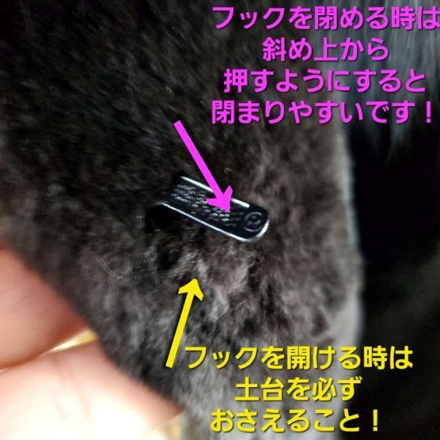 FUKUI FURVFA[h~NtHbNXR[g  t@bV 