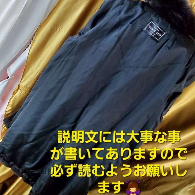 FUKUI FURVFA[h~NtHbNXR[g  t@bV 