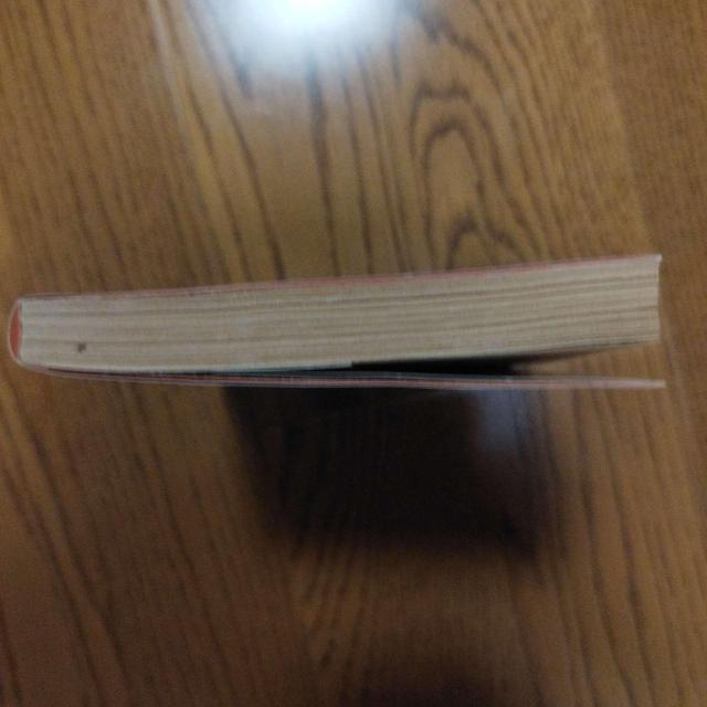 パウロ・コエーリョ 星の巡礼 角川文庫 山川紘矢・山川亜希子 訳 < 本/雑誌 パウロ・コエーリョ 星の巡礼 角川文庫 山川紘矢・山川亜希子 訳 < 本/雑誌の