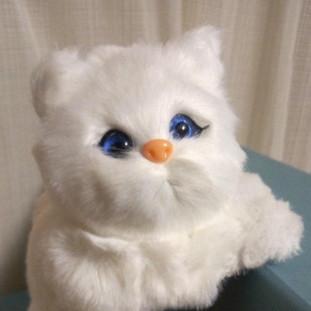 ӂӂCAT4  @L   