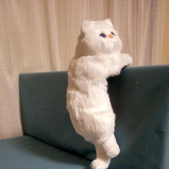 ӂӂCAT4  @L   