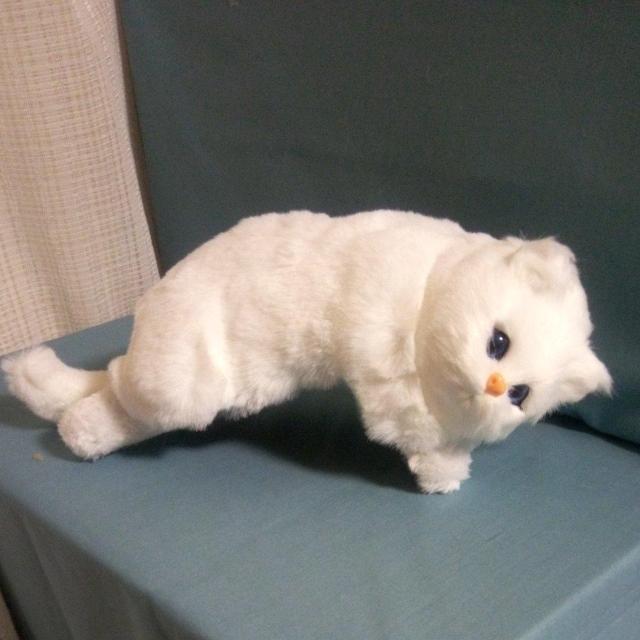 ӂӂCAT4  @L   