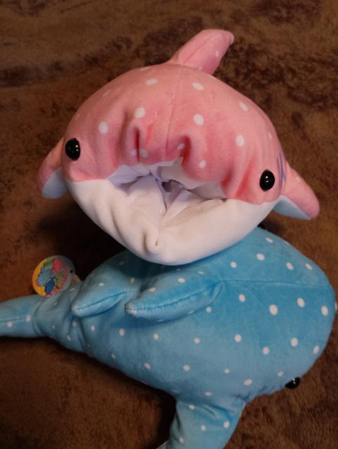 美品ジンベエザメぬいぐるみ☆2点セット < おもちゃ  美品ジンベエザメぬいぐるみ☆2点セット < おもちゃの