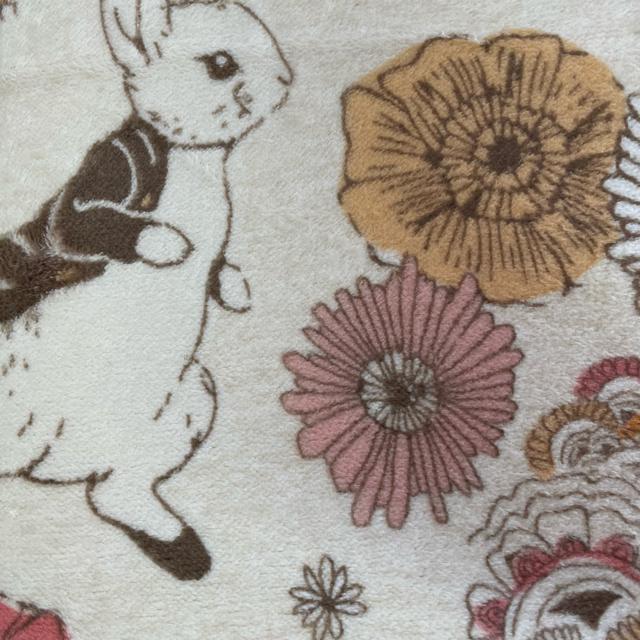 ABitlO2`180~180cms[^[rbg  CeA/Ct 