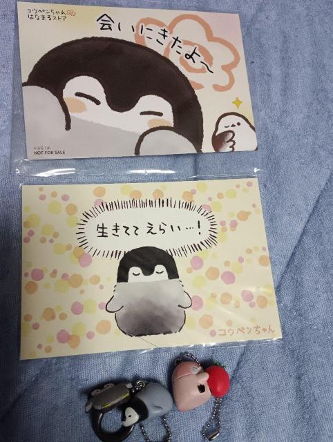 ペンギンキャラグッズ < ホビー ペンギンキャラグッズ < ホビーの