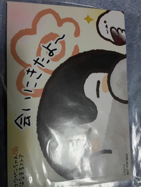 ペンギンキャラグッズ < ホビー ペンギンキャラグッズ < ホビーの