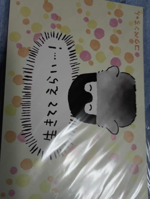 ペンギンキャラグッズ < ホビー ペンギンキャラグッズ < ホビーの