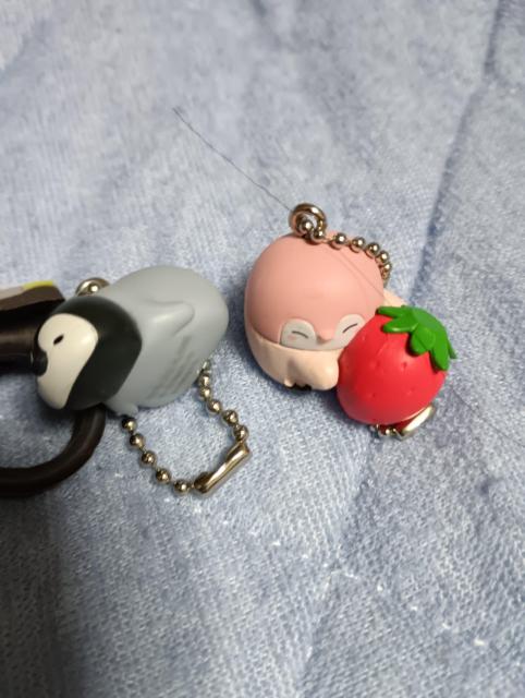 ペンギンキャラグッズ < ホビー ペンギンキャラグッズ < ホビーの