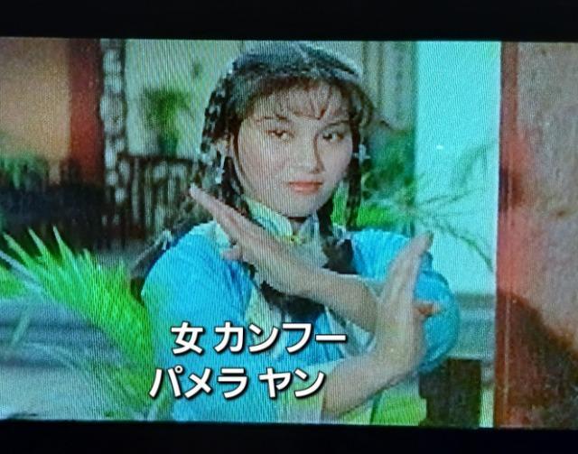 ���^�C�K�[���^�C�K�[ �ҌՌ��ˁ�TWO WONDROUS TIGERS �� CD/DVD/�r�f�I�� 