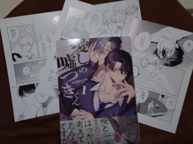 BL*アニメイト小冊子付【愛しの嘘つきくん@】someco < アニメ/コミック/キャラクター BL*アニメイト小冊子付【愛しの嘘つきくん@】someco < アニメ/コミック/キャラクターの