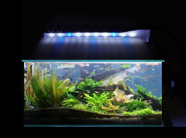 水槽LEDランプ クリップ式 2.9W アクアリウム 照明ライト LED 省エネ 水草育成 観賞魚/熱帯魚/金魚などの飼育 < ペット/手芸/園芸  水槽LEDランプ クリップ式 2.9W アクアリウム 照明ライト LED 省エネ 水草育成 観賞魚/熱帯魚/金魚などの飼育 < ペット/手芸/園芸の