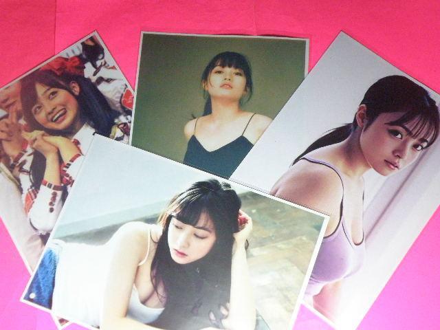 ★橋本 環奈(はしもと かんな)チャーミング&セクシーショット A4サイズ8枚+◎ クリアポケット入り < タレントグッズ ★橋本 環奈(はしもと かんな)チャーミング&セクシーショット A4サイズ8枚+◎ クリアポケット入り < タレントグッズの