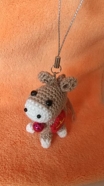 ���N�̊��x���J���t���n���҂݂���݃X�g���b�v  �� �y�b�g/��|/���|�� 