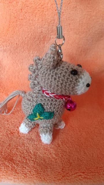 ���N�̊��x���J���t���n���҂݂���݃X�g���b�v �� �y�b�g/��|/���|�� 