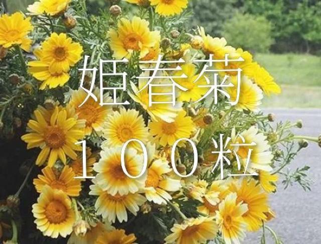 �P�t�e�̋�����T�O�O���{���S���S�����z���ł��_(^o^)�^  �� �y�b�g/��|/���|�� 