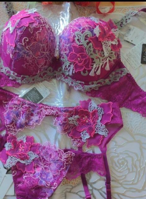 salute/T[g/X܌/39G/Aei/G70/K[^[xg/\OTobNV[c/WI/Hi  t@bV 