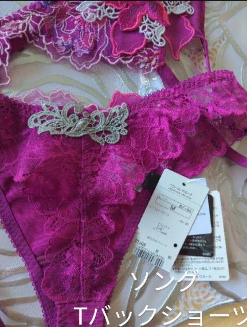 salute/T[g/X܌/39G/Aei/G70/K[^[xg/\OTobNV[c/WI/Hi  t@bV 