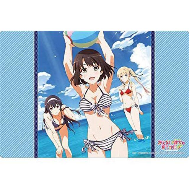 ブシロード ラバーマットコレクション Vol.741 冴えない彼女の育てかた『恵・英梨々・詩羽』Part.3 < アニメ/コミック/キャラクター  ブシロード ラバーマットコレクション Vol.741 冴えない彼女の育てかた『恵・英梨々・詩羽』Part.3  < アニメ/コミック/キャラクターの