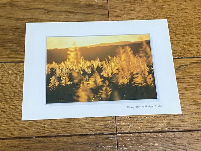 沖縄ポストカード☆3 < ホビー  沖縄ポストカード☆3  < ホビーの