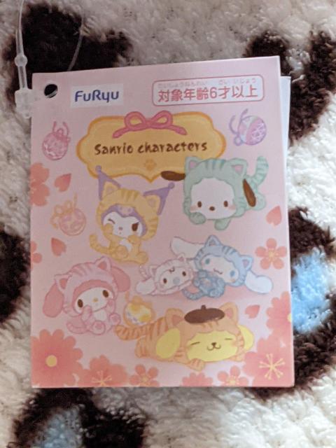 サンリオキャラクターズ ことらねこBIGぬいぐるみ  シナモロール < おもちゃ  サンリオキャラクターズ ことらねこBIGぬいぐるみ  シナモロール < おもちゃの