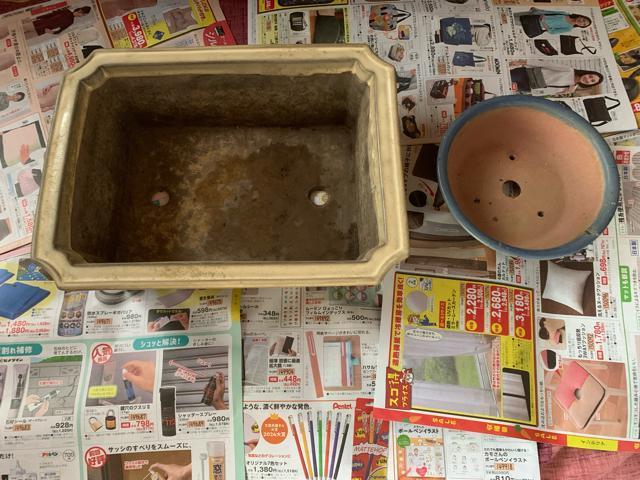 園芸盆栽用鉢セット2個 丸四角4点セット 小盆栽 送料無料 < ペット/手芸/園芸  園芸盆栽用鉢セット2個 丸四角4点セット 小盆栽 送料無料  < ペット/手芸/園芸の