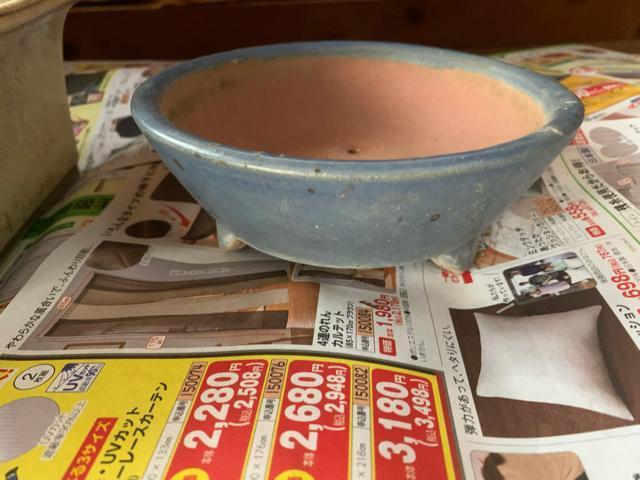 園芸盆栽用鉢セット2個 丸四角4点セット 小盆栽 送料無料 < ペット/手芸/園芸  園芸盆栽用鉢セット2個 丸四角4点セット 小盆栽 送料無料 < ペット/手芸/園芸の