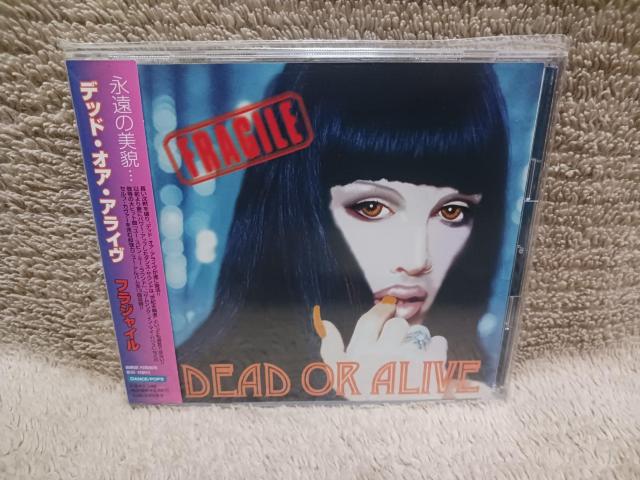 デッド・オア・アライヴ DEAD OR ALIVE/フラジャイル FRAGILE/帯付き/AVCD-11823 < CD/DVD/ビデオ  デッド・オア・アライヴ DEAD OR ALIVE/フラジャイル FRAGILE/帯付き/AVCD-11823  < CD/DVD/ビデオの
