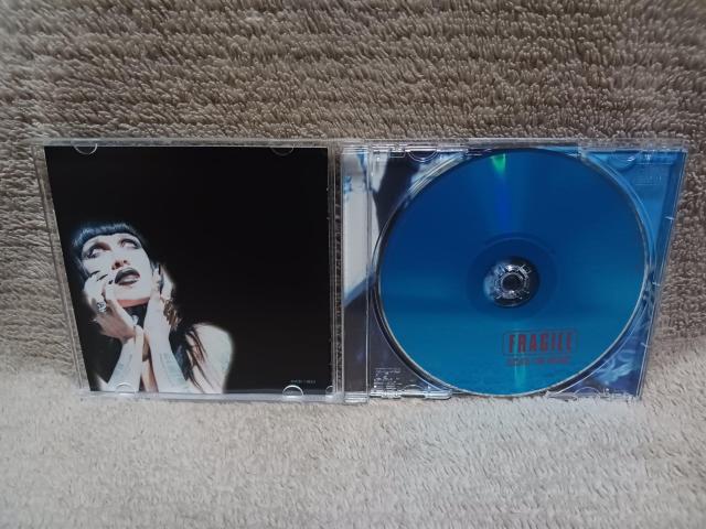 デッド・オア・アライヴ DEAD OR ALIVE/フラジャイル FRAGILE/帯付き/AVCD-11823 < CD/DVD/ビデオ  デッド・オア・アライヴ DEAD OR ALIVE/フラジャイル FRAGILE/帯付き/AVCD-11823 < CD/DVD/ビデオの