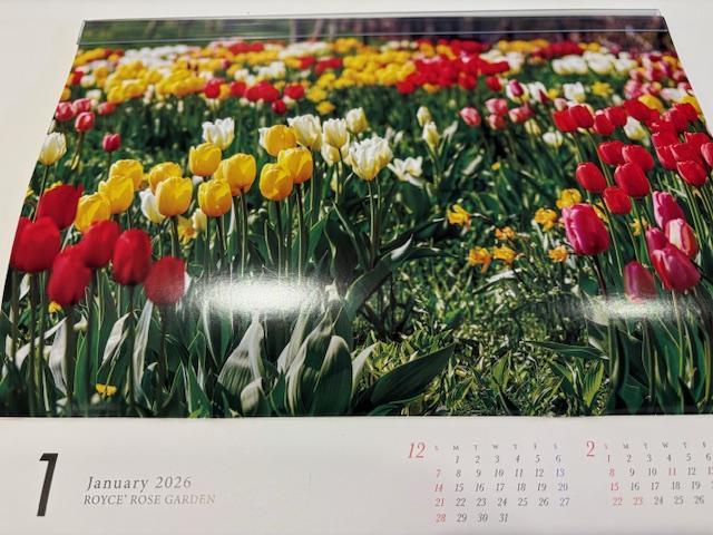 2026CY ROYCEf@CY[YK[f J_[  zr[ 