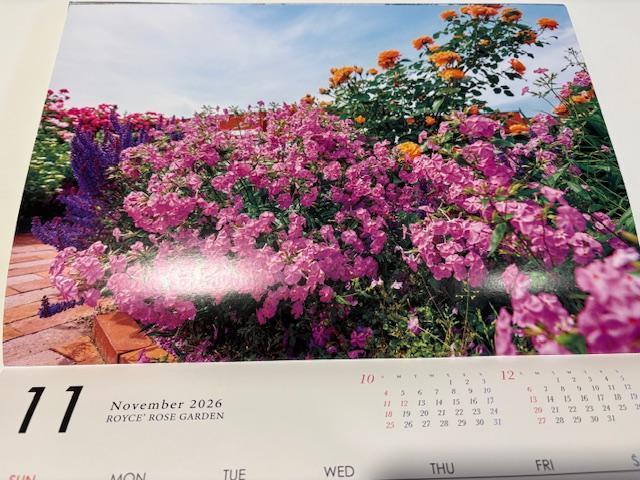 2026CY ROYCEf@CY[YK[f J_[  zr[ 