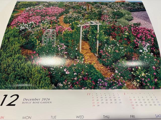 2026CY ROYCEf@CY[YK[f J_[  zr[ 