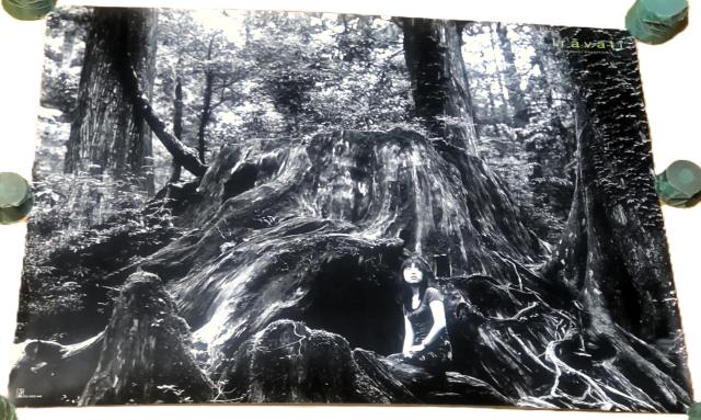 �ь��߂��� B2�|�X�^�[ CD Iravati ������T  �� �^�����g�O�b�Y�� 