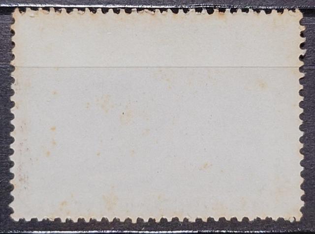 {X {̐؎ gp؎ ەʏT 1963N k։ xԎO\Zi u_ސ쉫Qv z40~  zr[ 