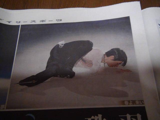 HvACXV[A1TCY|X^[fB[X|[cVVi!B  zr[ 