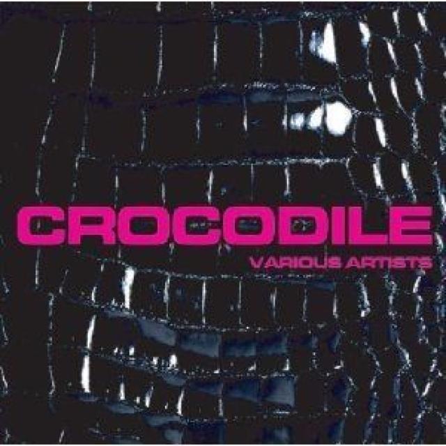 sCROCODILEtBES BEAR MAN KING-K y QGn^[`X WpQ reggae QG   CD/DVD/rfI 