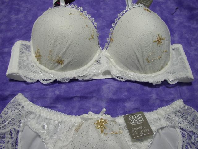 zCgɃS[h̃|CgfUCcVOlC[  t@bV 