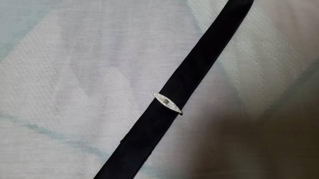 正規 ヴェルサーチ ゴシックアート リーフネクタイピン リフレクションタイピン メデューサロゴタイバー < ブランド 正規 ヴェルサーチ ゴシックアート リーフネクタイピン リフレクションタイピン メデューサロゴタイバー < ブランドの