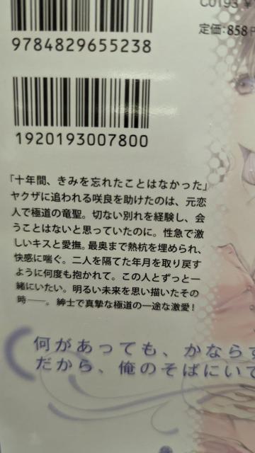 ƂEɔwĂamȋɓ̌g~JIp[  {/G 