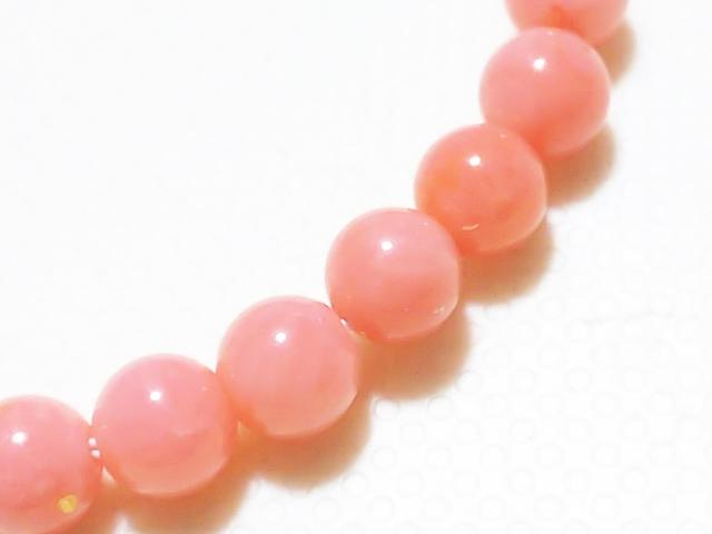 VR΁sNX@EhS@A  ANZT[/v 