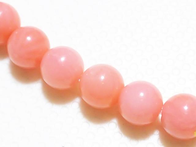 VR΁sNX@EhS@A  ANZT[/v 