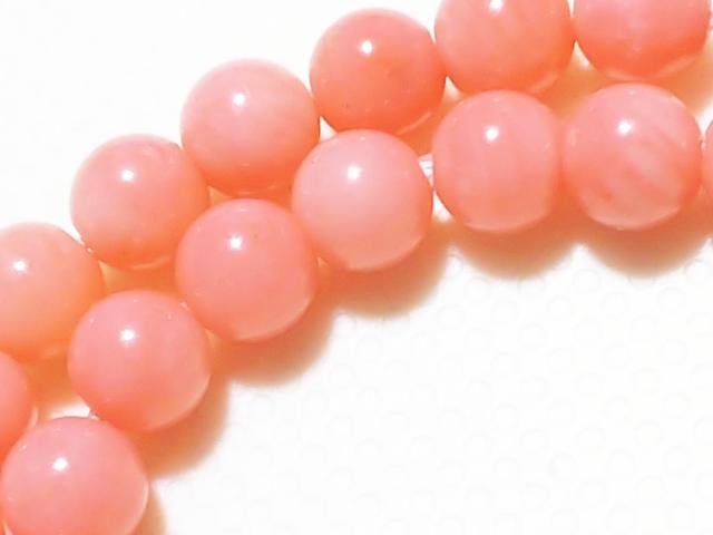 VR΁sNX@EhS@A  ANZT[/v 