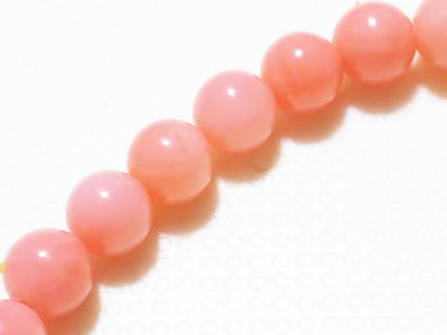 VR΁sNX@EhS@A  ANZT[/v 