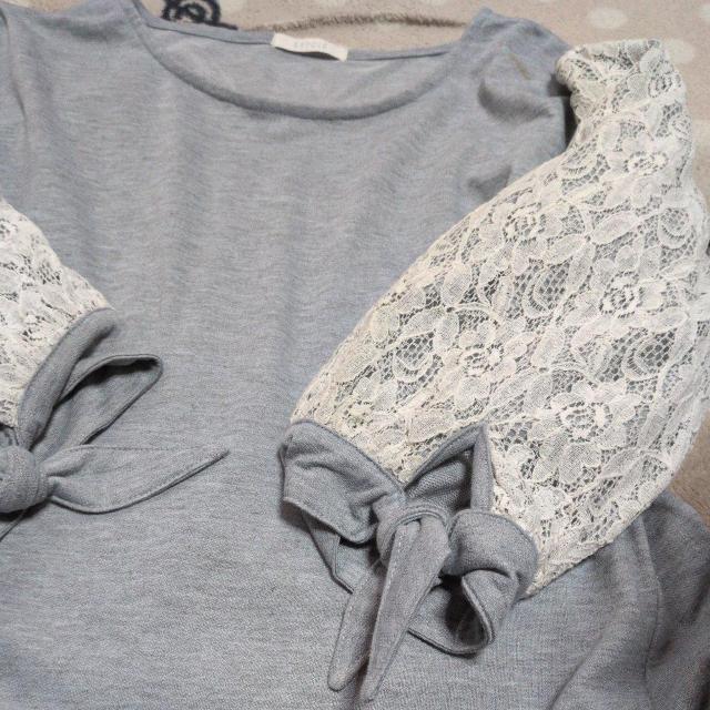 [XŉsVc TCY   t@bV 