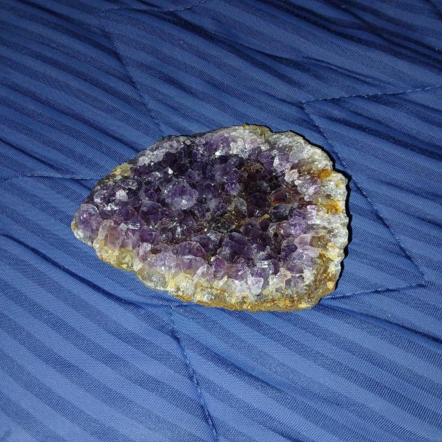 �A���W�X�g���� �N���X�^�[ �������p�[�v�� �V�R�� �� �C���e���A/���C�t�� 