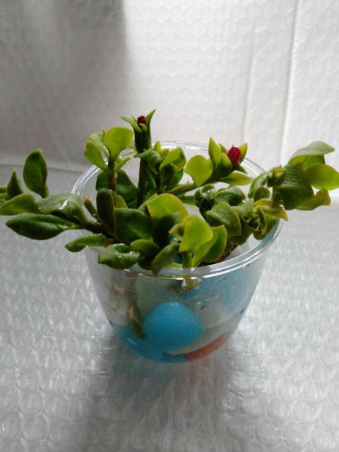 @Jbg@xr[T[Y@sNn   ybg/|/| 