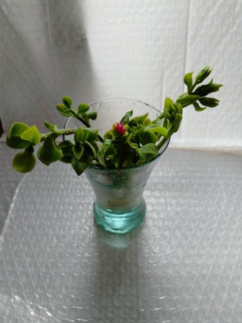 @Jbg@xr[T[Y@sNn  ybg/|/| 