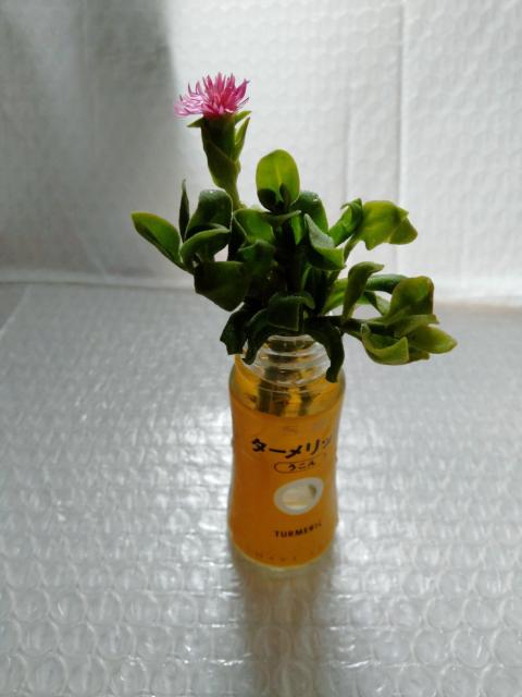 @Jbg@xr[T[Y@sNn  ybg/|/| 