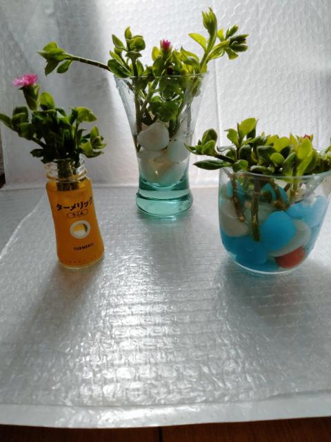 @Jbg@xr[T[Y@sNn  ybg/|/| 