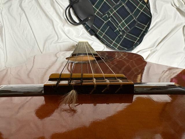 ゼンオン Abe Gut Guitar モデル520 ケース付1933-05-1 < ホビー  ゼンオン Abe Gut Guitar モデル520 ケース付1933-05-1 < ホビーの